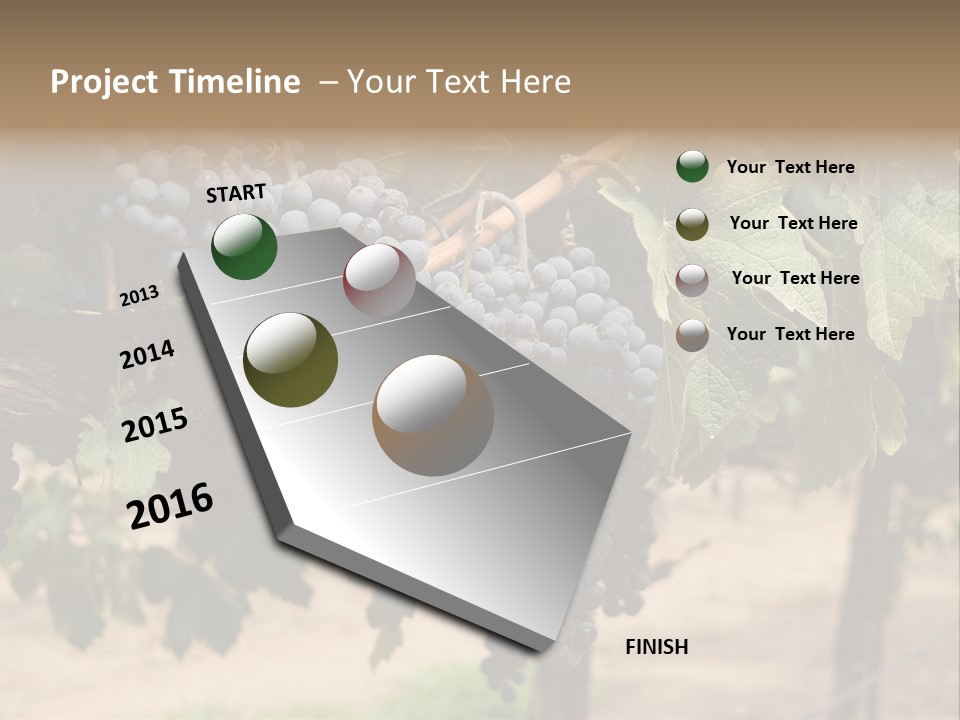 Vineyards With Red Wine Grapes Clusters, Ready For Harvest PowerPoint Template