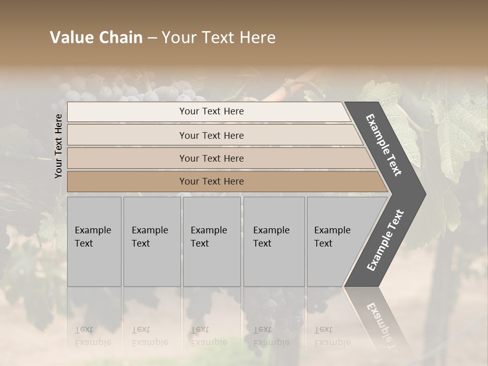 Vineyards With Red Wine Grapes Clusters, Ready For Harvest PowerPoint Template