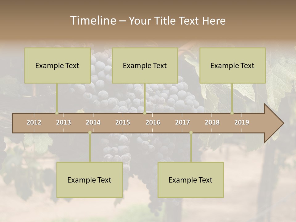 Vineyards With Red Wine Grapes Clusters, Ready For Harvest PowerPoint Template