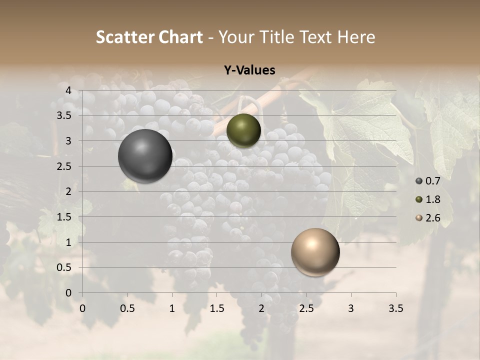 Vineyards With Red Wine Grapes Clusters, Ready For Harvest PowerPoint Template