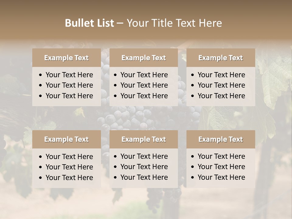 Vineyards With Red Wine Grapes Clusters, Ready For Harvest PowerPoint Template