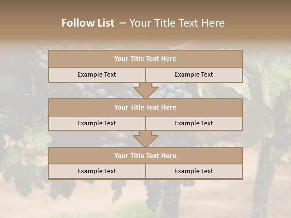 Vineyards With Red Wine Grapes Clusters, Ready For Harvest PowerPoint Template