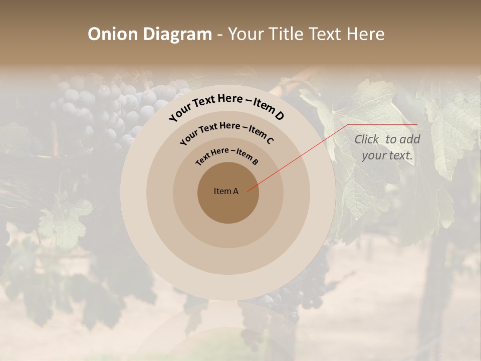 Vineyards With Red Wine Grapes Clusters, Ready For Harvest PowerPoint Template