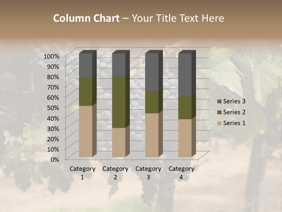Vineyards With Red Wine Grapes Clusters, Ready For Harvest PowerPoint Template