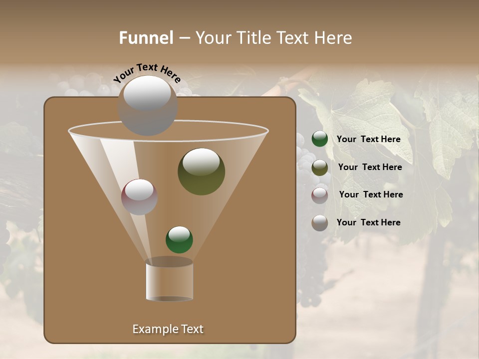 Vineyards With Red Wine Grapes Clusters, Ready For Harvest PowerPoint Template