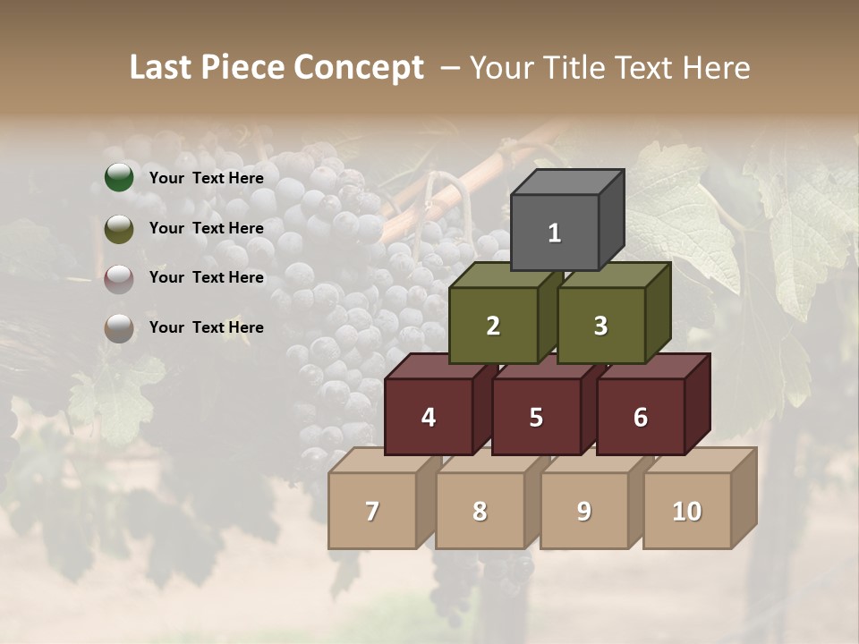 Vineyards With Red Wine Grapes Clusters, Ready For Harvest PowerPoint Template