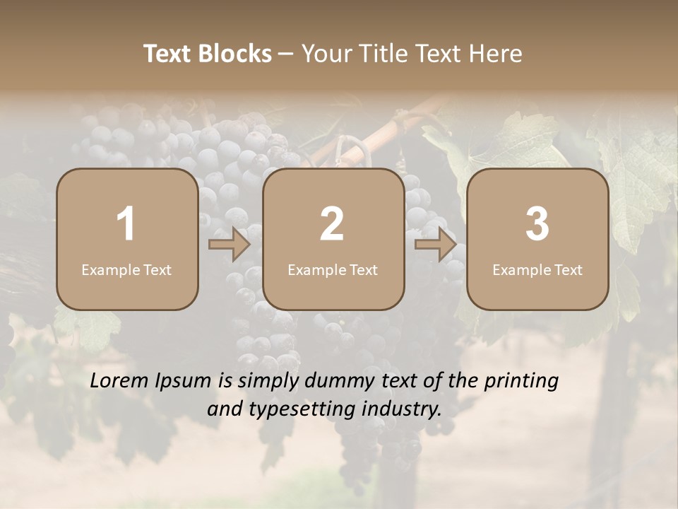 Vineyards With Red Wine Grapes Clusters, Ready For Harvest PowerPoint Template