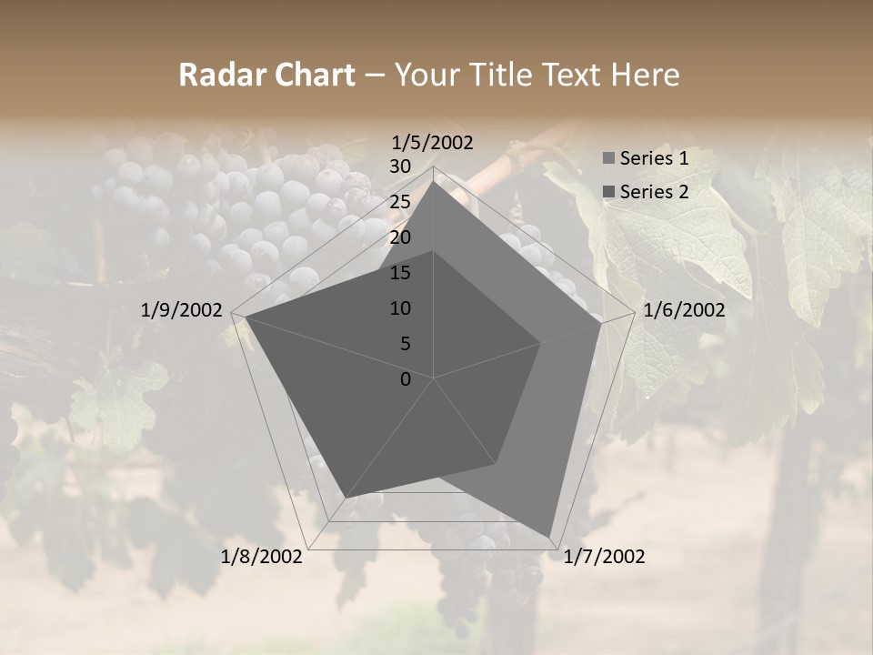 Vineyards With Red Wine Grapes Clusters, Ready For Harvest PowerPoint Template