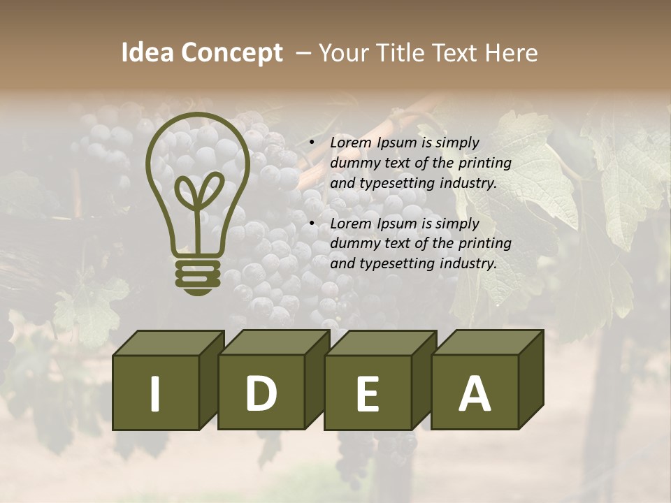 Vineyards With Red Wine Grapes Clusters, Ready For Harvest PowerPoint Template