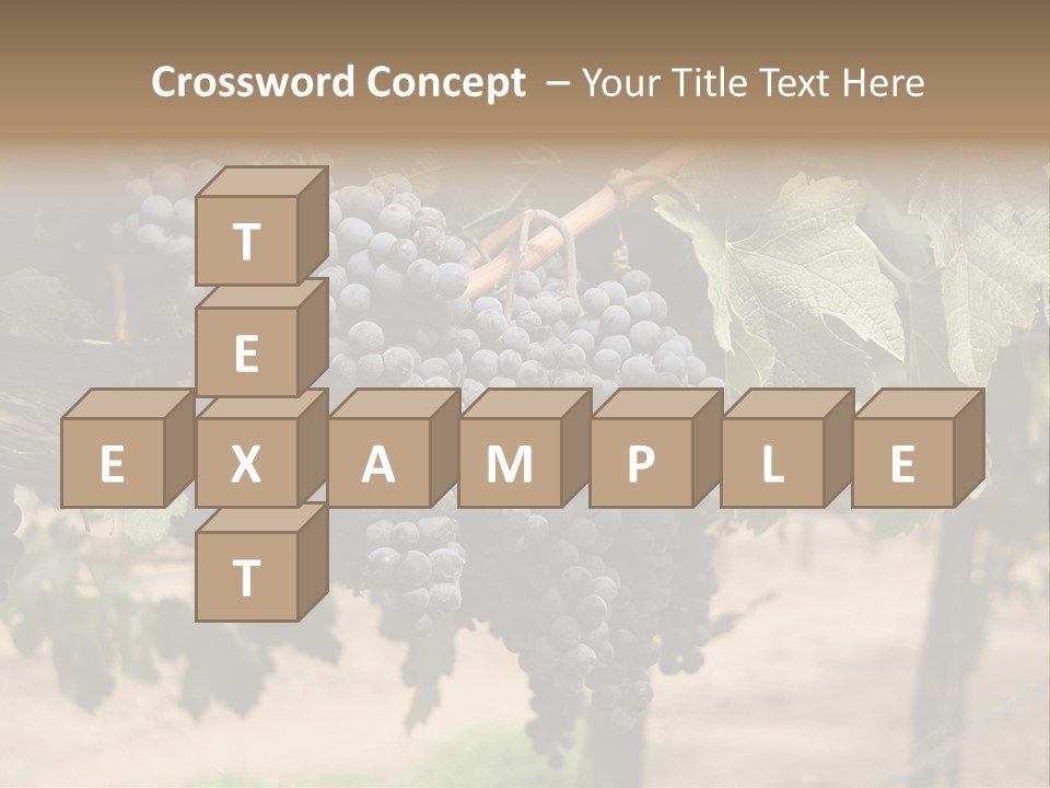 Vineyards With Red Wine Grapes Clusters, Ready For Harvest PowerPoint Template