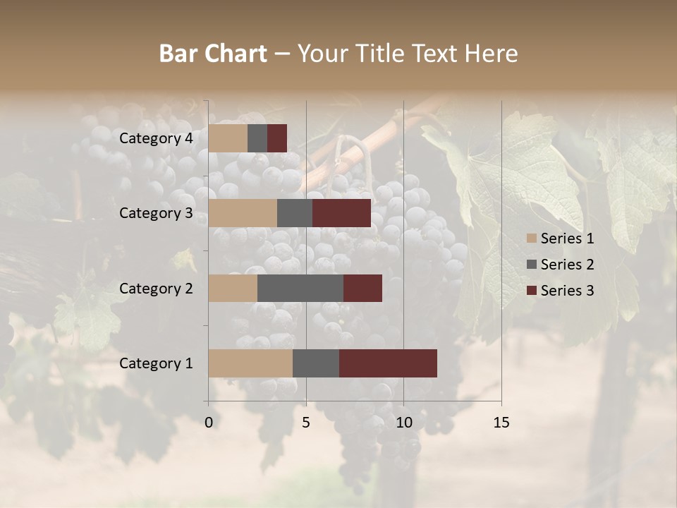 Vineyards With Red Wine Grapes Clusters, Ready For Harvest PowerPoint Template
