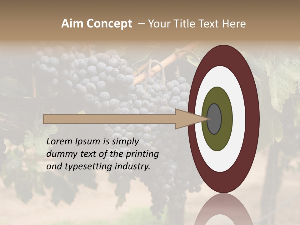 Vineyards With Red Wine Grapes Clusters, Ready For Harvest PowerPoint Template