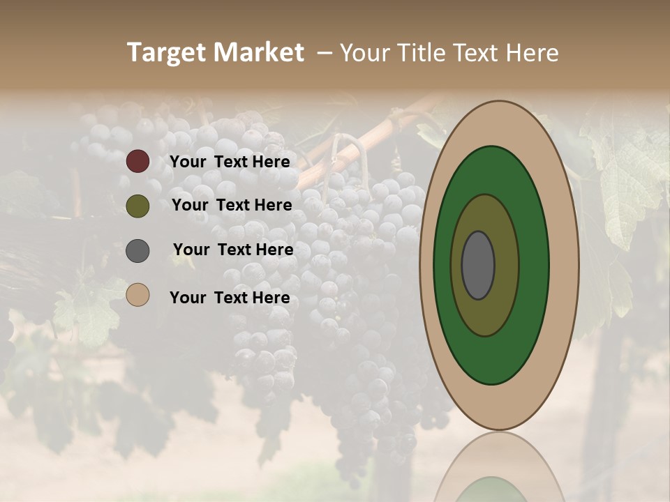 Vineyards With Red Wine Grapes Clusters, Ready For Harvest PowerPoint Template