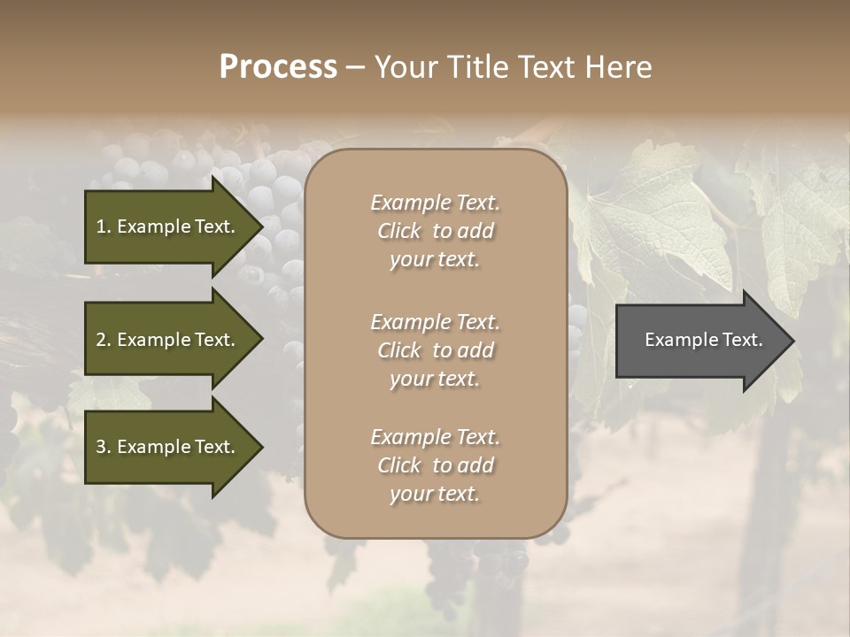 Vineyards With Red Wine Grapes Clusters, Ready For Harvest PowerPoint Template