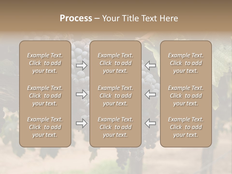 Vineyards With Red Wine Grapes Clusters, Ready For Harvest PowerPoint Template