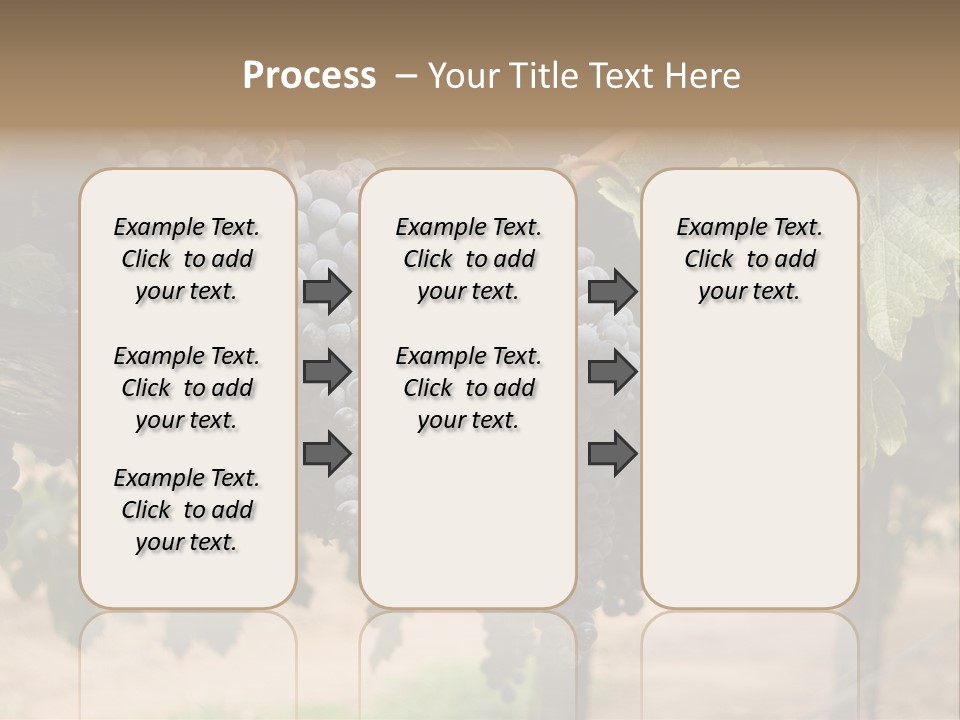 Vineyards With Red Wine Grapes Clusters, Ready For Harvest PowerPoint Template