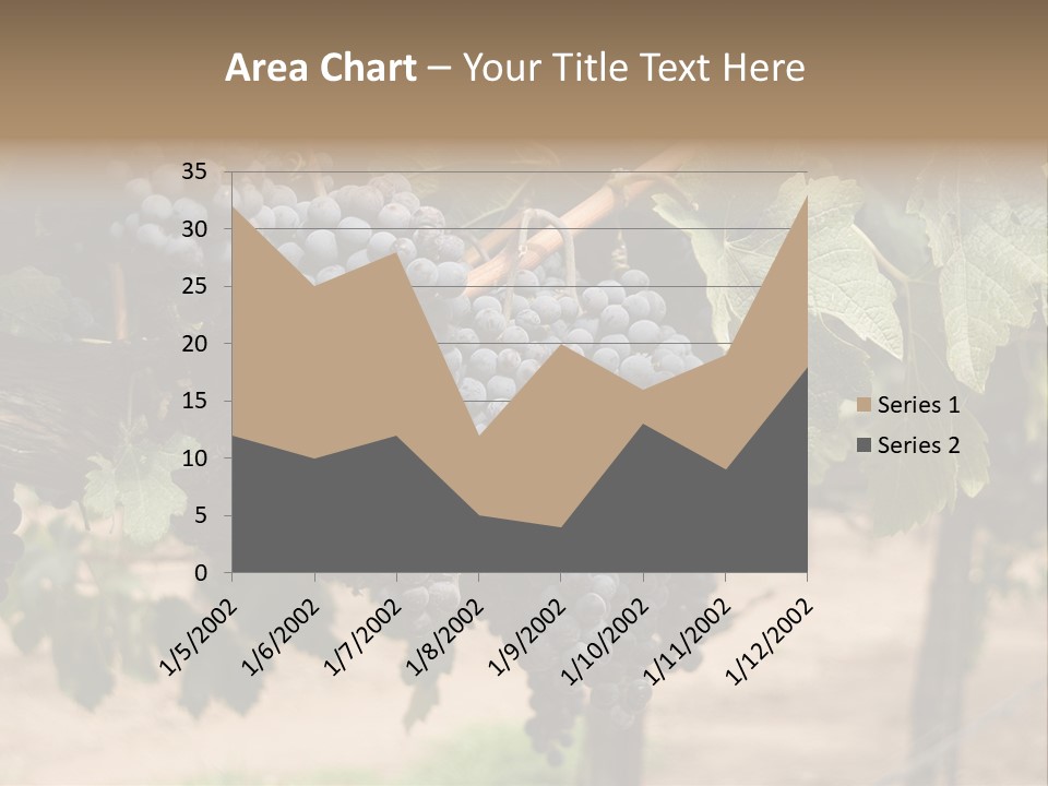Vineyards With Red Wine Grapes Clusters, Ready For Harvest PowerPoint Template