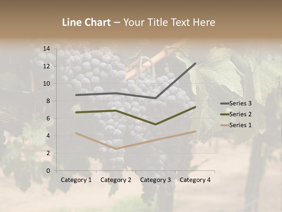 Vineyards With Red Wine Grapes Clusters, Ready For Harvest PowerPoint Template