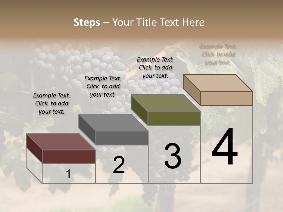 Vineyards With Red Wine Grapes Clusters, Ready For Harvest PowerPoint Template