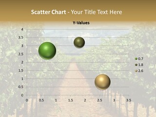 A Row Of Trees In A Vineyard With A Mountain In The Background PowerPoint Template