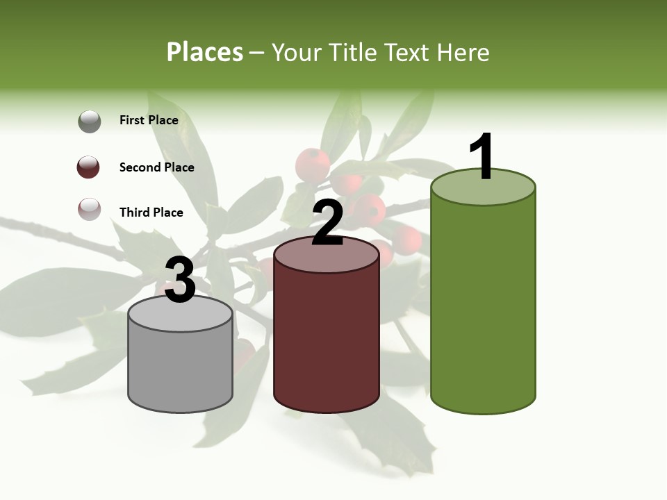 Christmas Holly Isolated On White (Natural) PowerPoint Template