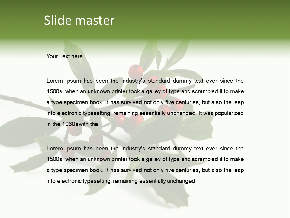 Christmas Holly Isolated On White (Natural) PowerPoint Template