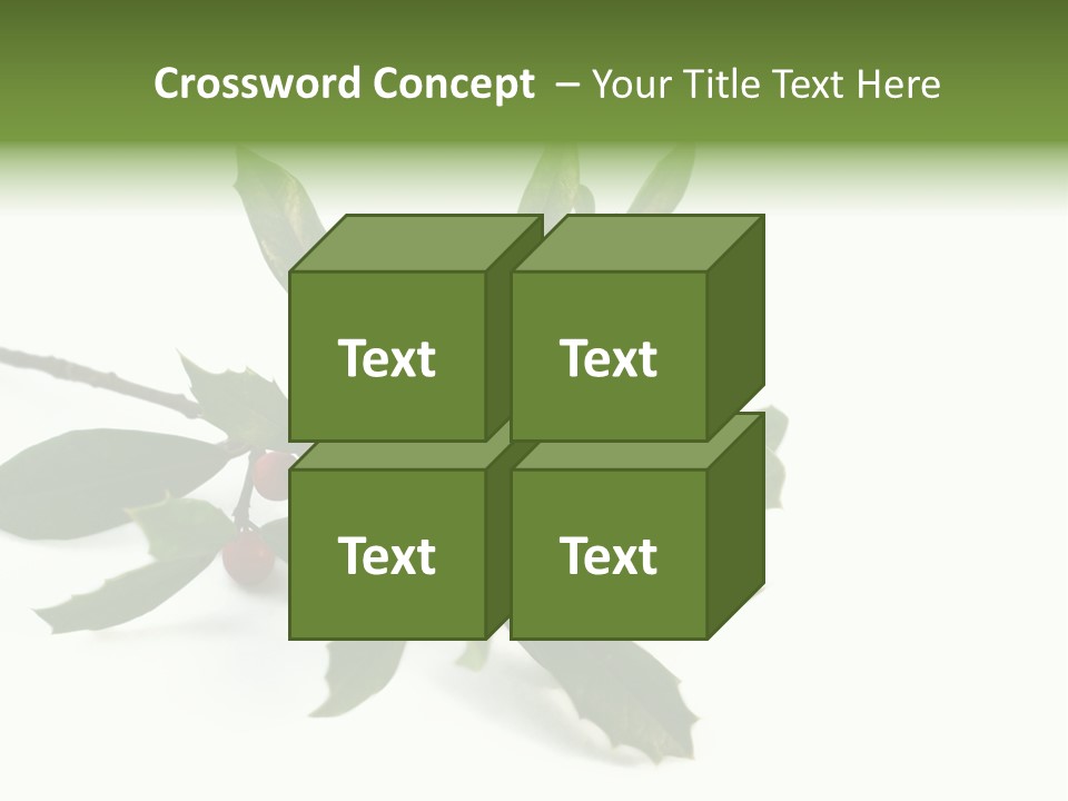 Christmas Holly Isolated On White (Natural) PowerPoint Template