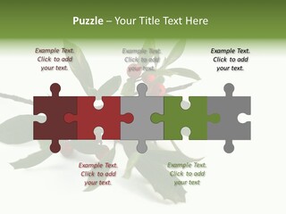 Christmas Holly Isolated On White (Natural) PowerPoint Template