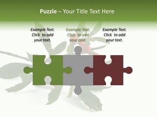 Christmas Holly Isolated On White (Natural) PowerPoint Template