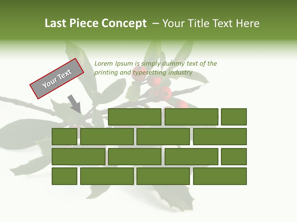 Christmas Holly Isolated On White (Natural) PowerPoint Template