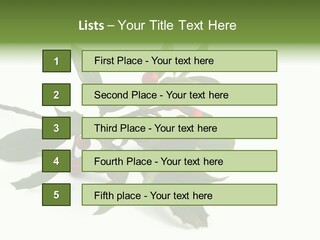 Christmas Holly Isolated On White (Natural) PowerPoint Template