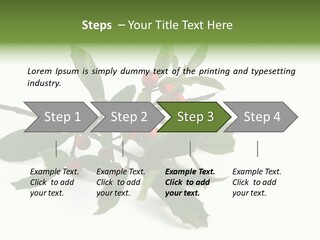Christmas Holly Isolated On White (Natural) PowerPoint Template