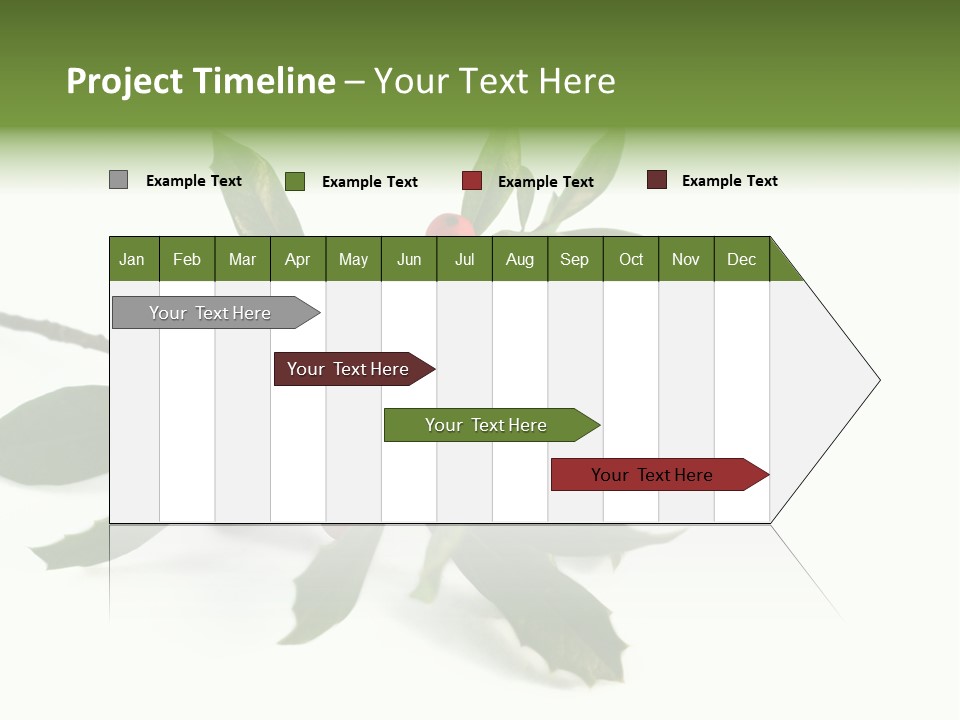 Christmas Holly Isolated On White (Natural) PowerPoint Template