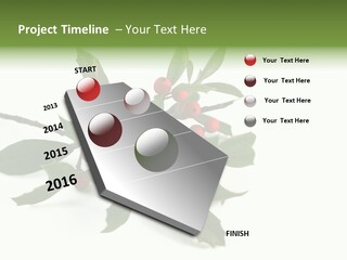 Christmas Holly Isolated On White (Natural) PowerPoint Template