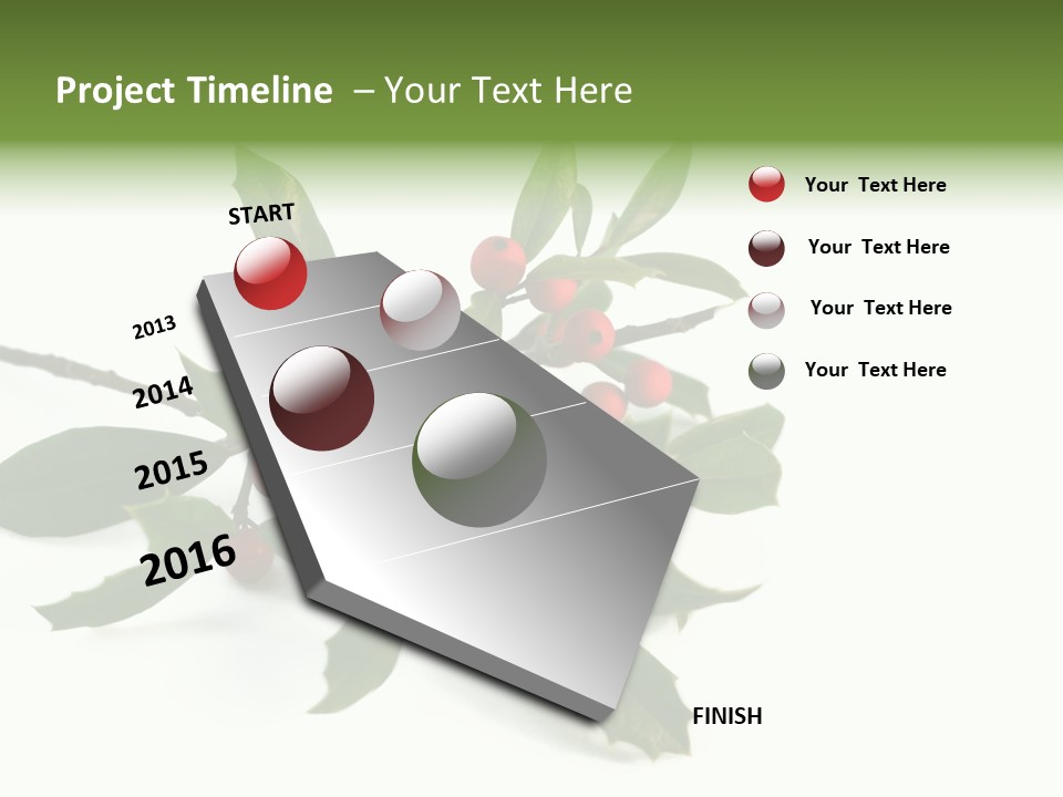 Christmas Holly Isolated On White (Natural) PowerPoint Template