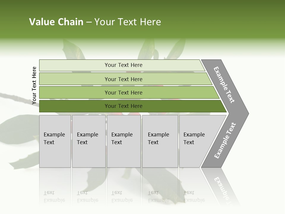 Christmas Holly Isolated On White (Natural) PowerPoint Template
