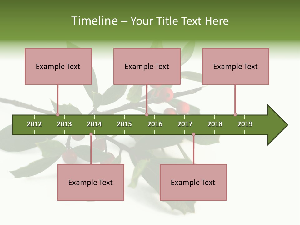 Christmas Holly Isolated On White (Natural) PowerPoint Template