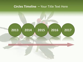 Christmas Holly Isolated On White (Natural) PowerPoint Template