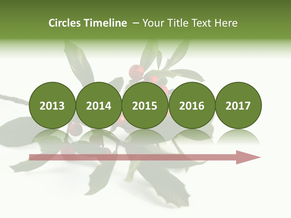 Christmas Holly Isolated On White (Natural) PowerPoint Template