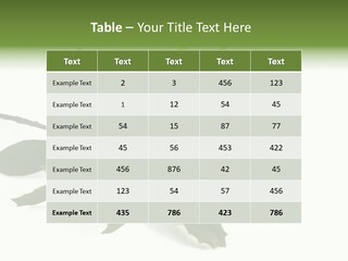 Christmas Holly Isolated On White (Natural) PowerPoint Template