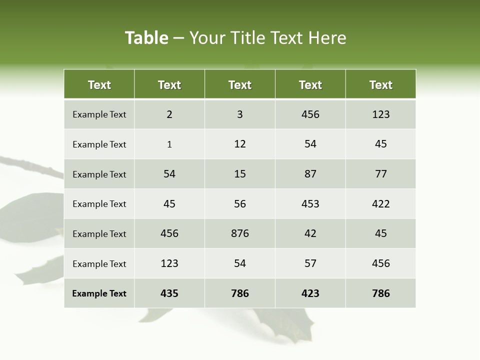 Christmas Holly Isolated On White (Natural) PowerPoint Template