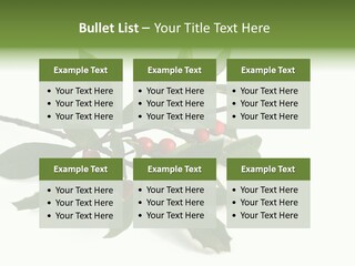 Christmas Holly Isolated On White (Natural) PowerPoint Template