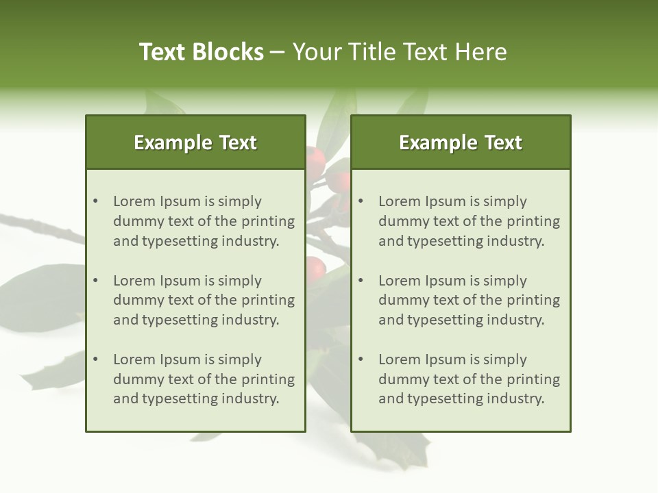 Christmas Holly Isolated On White (Natural) PowerPoint Template