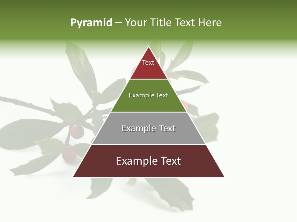 Christmas Holly Isolated On White (Natural) PowerPoint Template