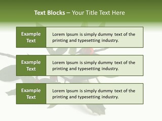Christmas Holly Isolated On White (Natural) PowerPoint Template