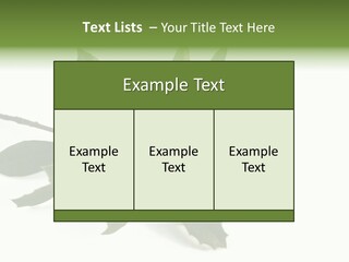 Christmas Holly Isolated On White (Natural) PowerPoint Template