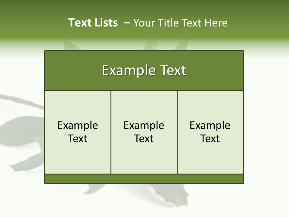 Christmas Holly Isolated On White (Natural) PowerPoint Template