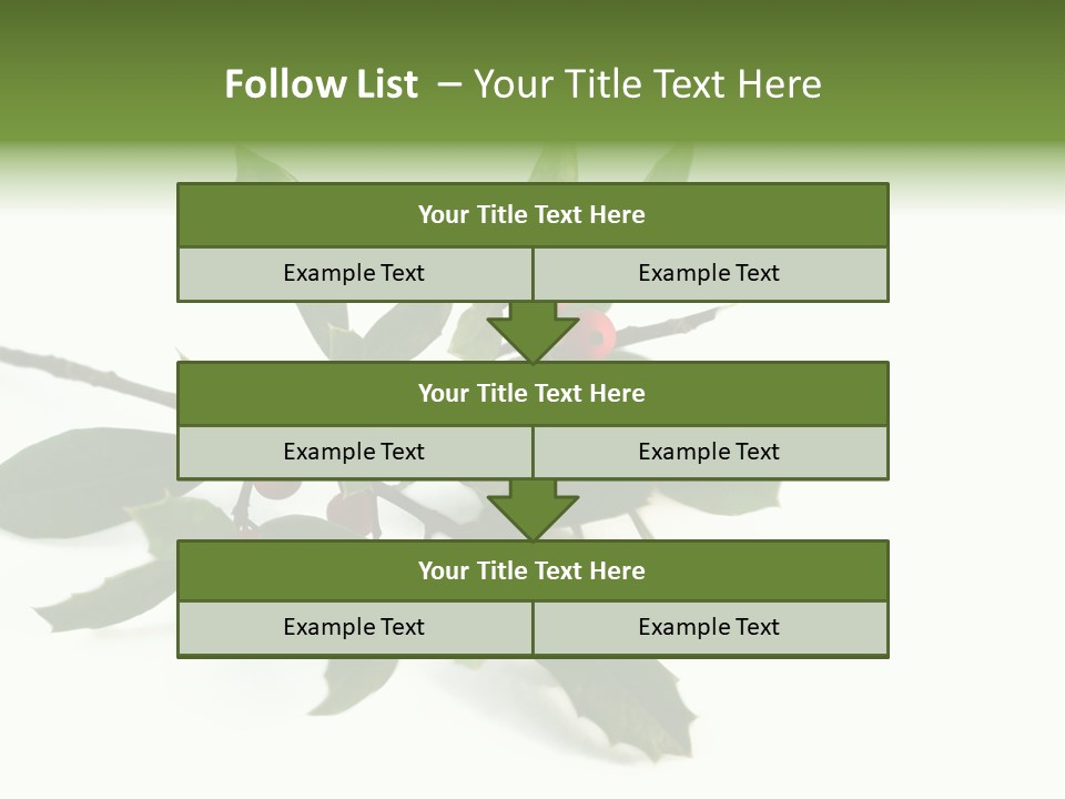 Christmas Holly Isolated On White (Natural) PowerPoint Template