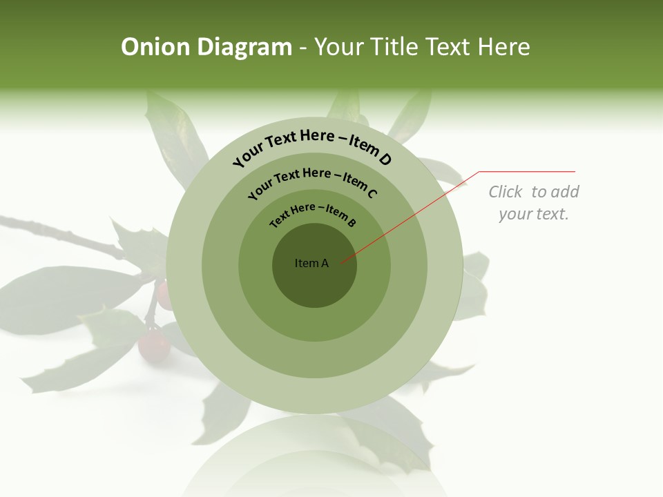 Christmas Holly Isolated On White (Natural) PowerPoint Template