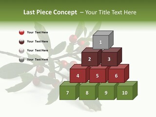 Christmas Holly Isolated On White (Natural) PowerPoint Template